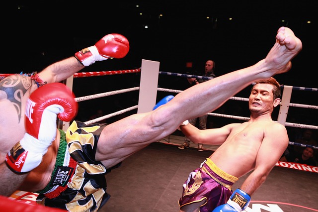 MMA