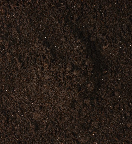 Black,Land,For,Plant,Background.,Top,View.